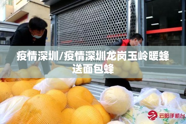 疫情深圳/疫情深圳龙岗玉岭暖蜂送面包蜂 疫情深圳/疫情深圳龙岗玉岭暖蜂送面包蜂