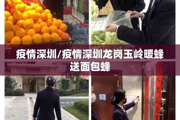 疫情深圳/疫情深圳龙岗玉岭暖蜂送面包蜂 疫情深圳/疫情深圳龙岗玉岭暖蜂送面包蜂