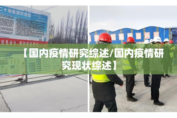 【国内疫情研究综述/国内疫情研究现状综述】 【国内疫情研究综述/国内疫情研究现状综述】