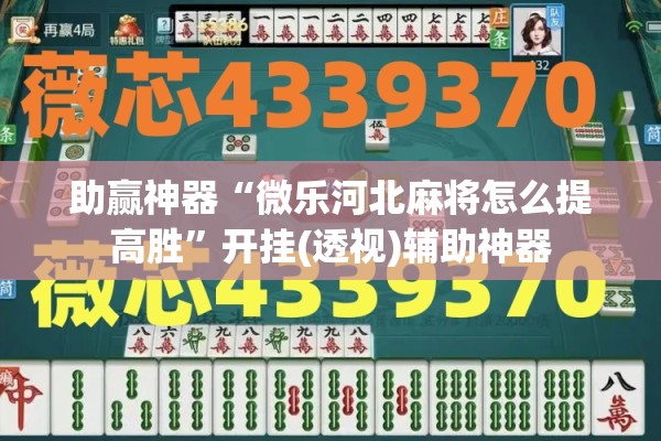 助赢神器“微乐河北麻将怎么提高胜	”开挂(透视)辅助神器