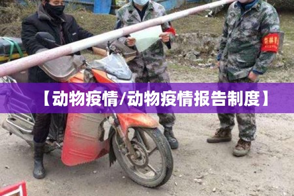 【动物疫情/动物疫情报告制度】 【动物疫情/动物疫情报告制度】