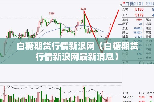 白糖期货行情新浪网（白糖期货行情新浪网最新消息）