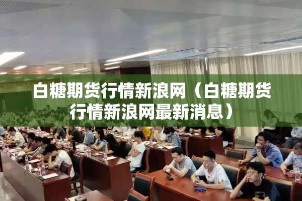 白糖期货行情新浪网（白糖期货行情新浪网最新消息）