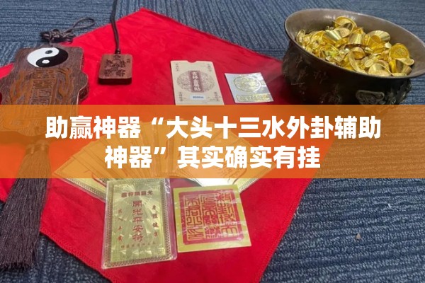 助赢神器“大头十三水外卦辅助神器”其实确实有挂
