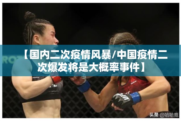 【国内二次疫情风暴/中国疫情二次爆发将是大概率事件】