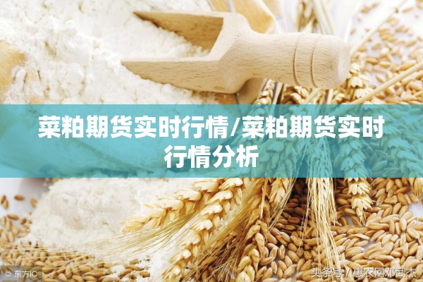 菜粕期货实时行情/菜粕期货实时行情分析 菜粕期货实时行情/菜粕期货实时行情分析