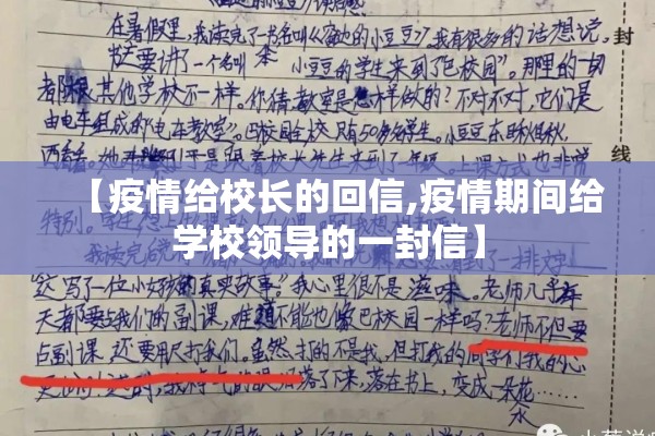 【疫情给校长的回信,疫情期间给学校领导的一封信】