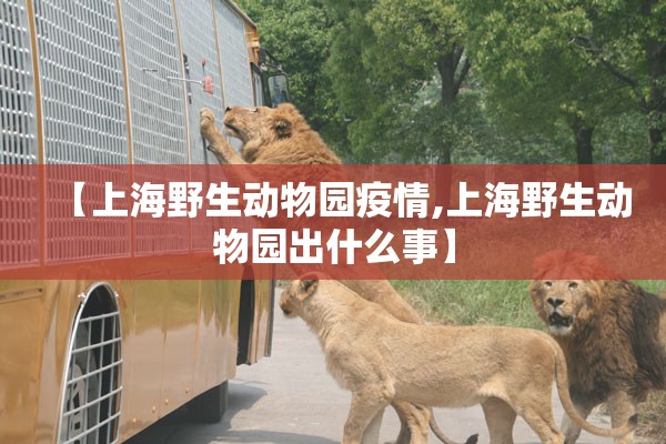 【上海野生动物园疫情,上海野生动物园出什么事】