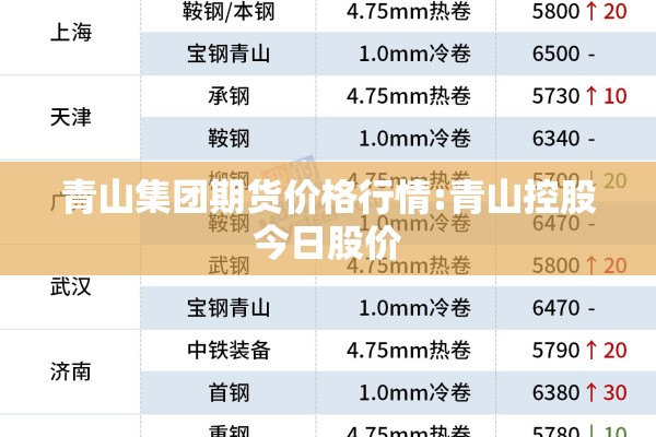 青山集团期货价格行情:青山控股今日股价