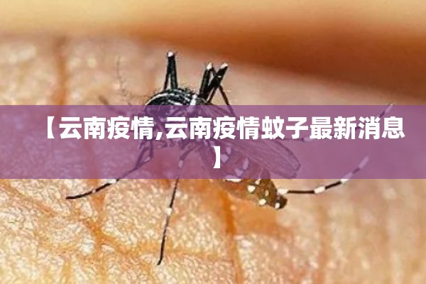 【云南疫情,云南疫情蚊子最新消息】