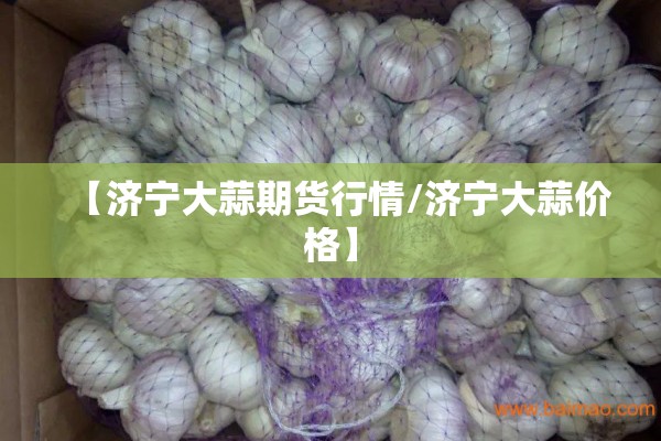 【济宁大蒜期货行情/济宁大蒜价格】