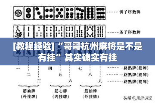 [教程经验]“哥哥杭州麻将是不是有挂”其实确实有挂