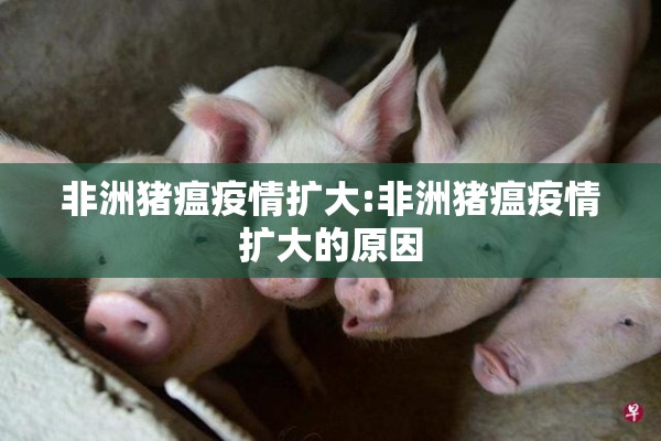 非洲猪瘟疫情扩大:非洲猪瘟疫情扩大的原因 非洲猪瘟疫情扩大:非洲猪瘟疫情扩大的原因