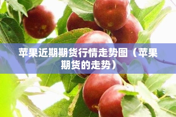 苹果近期期货行情走势图（苹果期货的走势）