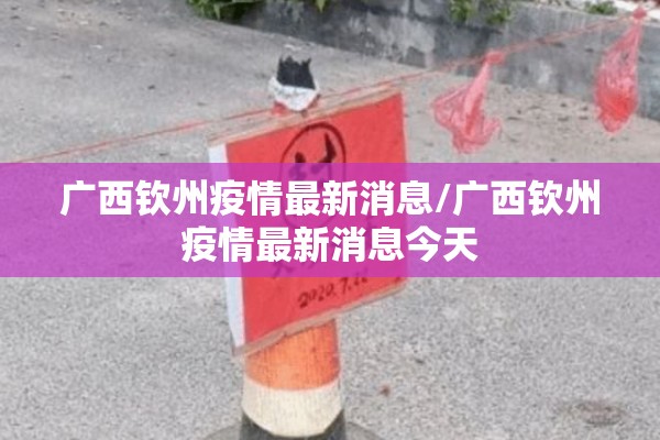 广西钦州疫情最新消息/广西钦州疫情最新消息今天