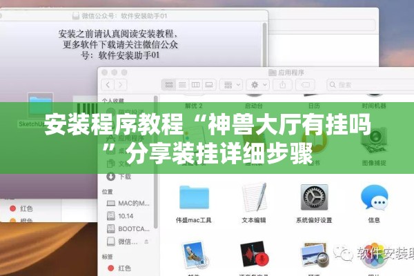 安装程序教程“神兽大厅有挂吗”分享装挂详细步骤