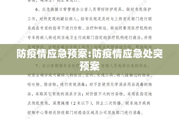 防疫情应急预案:防疫情应急处突预案