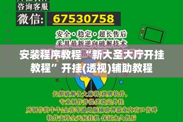 安装程序教程“新大圣大厅开挂教程	”开挂(透视)辅助教程