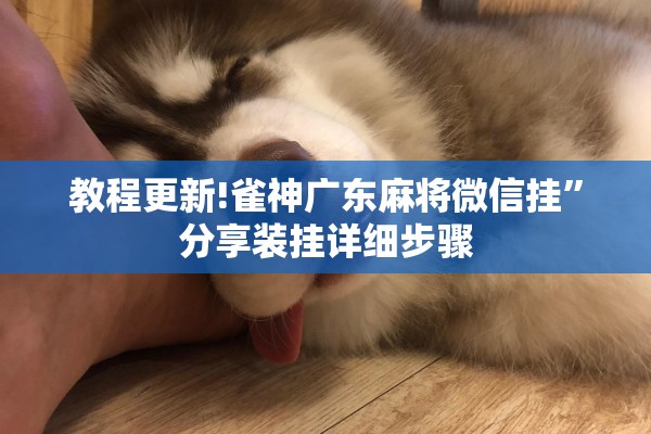 教程更新!雀神广东麻将微信挂”分享装挂详细步骤
