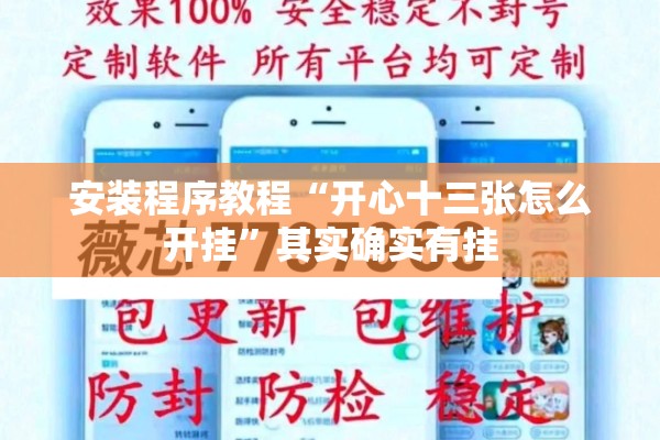 安装程序教程“开心十三张怎么开挂”其实确实有挂