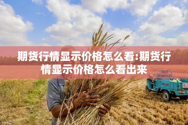 期货行情显示价格怎么看:期货行情显示价格怎么看出来