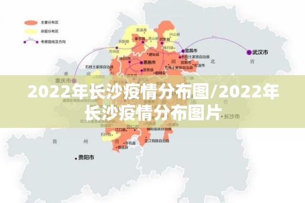 2022年长沙疫情分布图/2022年长沙疫情分布图片