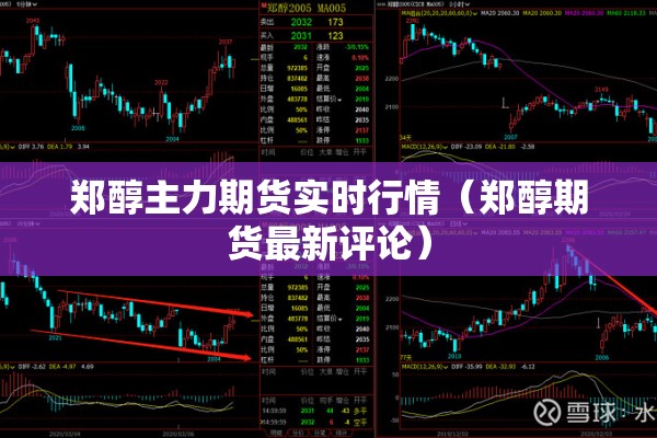 郑醇主力期货实时行情（郑醇期货最新评论）