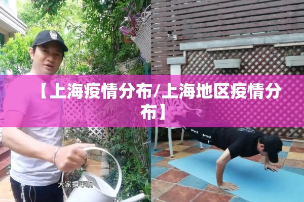 【上海疫情分布/上海地区疫情分布】