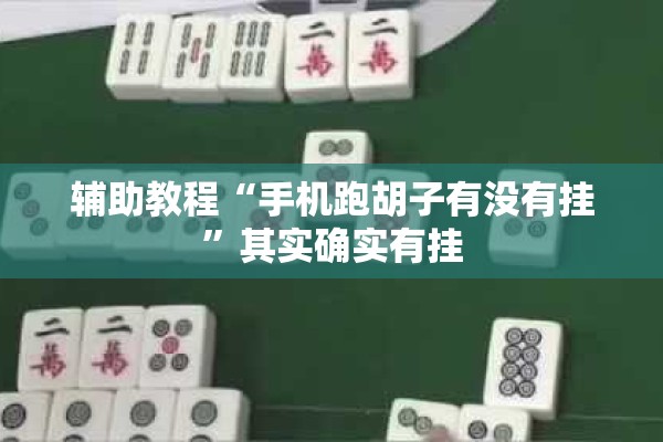 辅助教程“手机跑胡子有没有挂”其实确实有挂