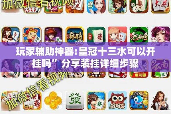 玩家辅助神器:皇冠十三水可以开挂吗”分享装挂详细步骤