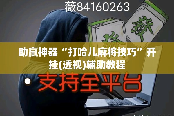 助赢神器“打哈儿麻将技巧”开挂(透视)辅助教程