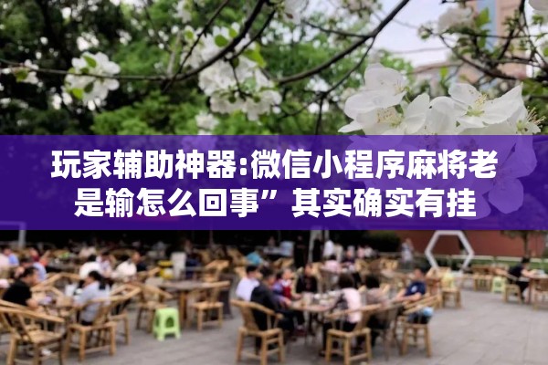 玩家辅助神器:微信小程序麻将老是输怎么回事	”其实确实有挂