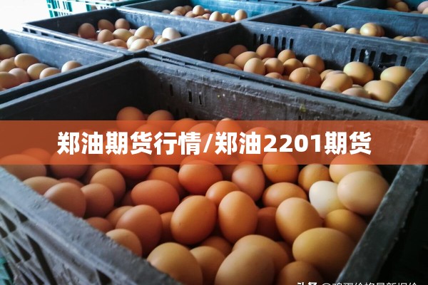 郑油期货行情/郑油2201期货 郑油期货行情/郑油2201期货