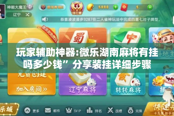 玩家辅助神器:微乐湖南麻将有挂吗多少钱”分享装挂详细步骤