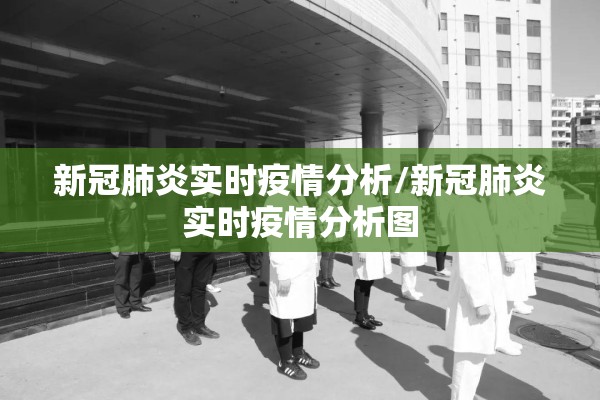 新冠肺炎实时疫情分析/新冠肺炎实时疫情分析图 新冠肺炎实时疫情分析/新冠肺炎实时疫情分析图