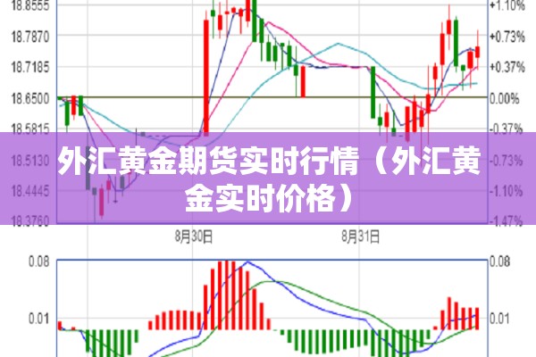 外汇黄金期货实时行情（外汇黄金实时价格）