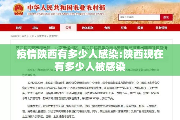 疫情陕西有多少人感染:陕西现在有多少人被感染 疫情陕西有多少人感染:陕西现在有多少人被感染