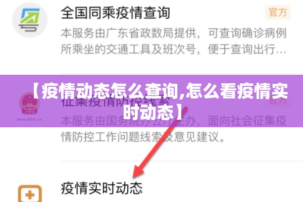 【疫情动态怎么查询,怎么看疫情实时动态】