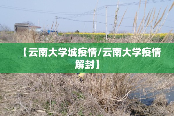 【云南大学城疫情/云南大学疫情解封】