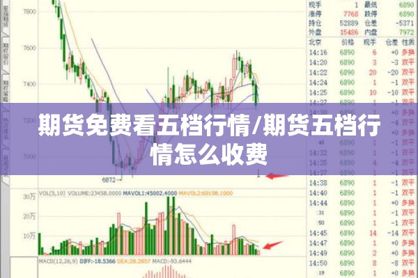 期货免费看五档行情/期货五档行情怎么收费