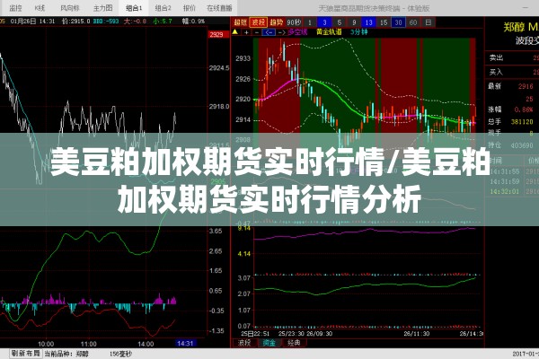 美豆粕加权期货实时行情/美豆粕加权期货实时行情分析