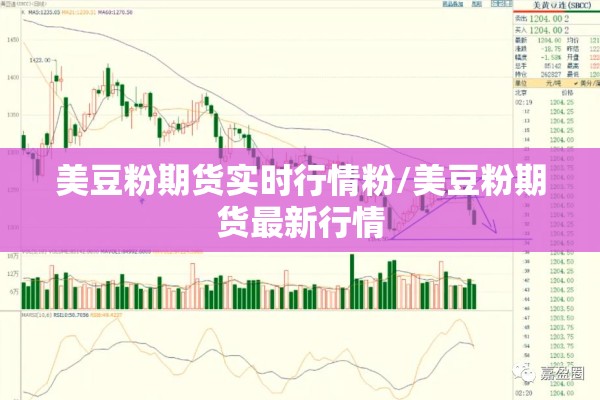 美豆粉期货实时行情粉/美豆粉期货最新行情