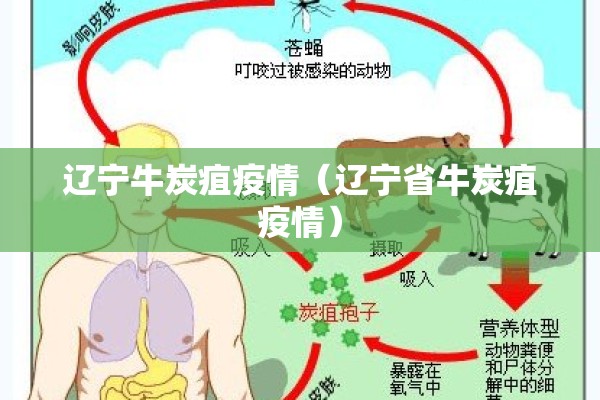 辽宁牛炭疽疫情(辽宁省牛炭疽疫情) 辽宁牛炭疽疫情(辽宁省牛炭疽疫情)