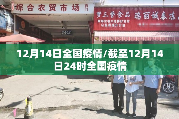 12月14日全国疫情/截至12月14日24时全国疫情