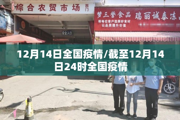 12月14日全国疫情/截至12月14日24时全国疫情