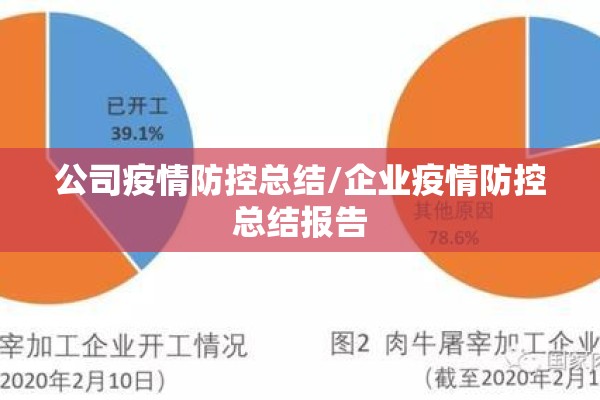 公司疫情防控总结/企业疫情防控总结报告