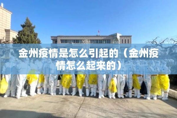 金州疫情是怎么引起的(金州疫情怎么起来的) 金州疫情是怎么引起的(金州疫情怎么起来的)