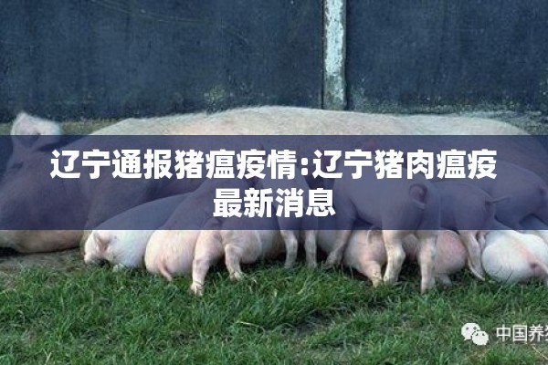 辽宁通报猪瘟疫情:辽宁猪肉瘟疫最新消息 辽宁通报猪瘟疫情:辽宁猪肉瘟疫最新消息