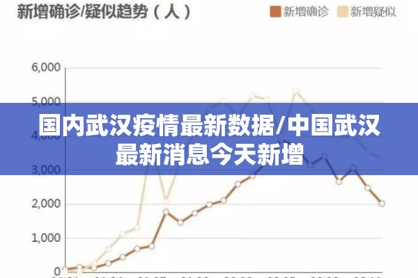 国内武汉疫情最新数据/中国武汉最新消息今天新增