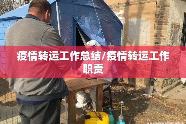 疫情转运工作总结/疫情转运工作职责 疫情转运工作总结/疫情转运工作职责